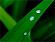 Droplets